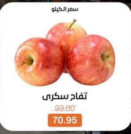 available at Beit El Gomla in Egypt - Cairo