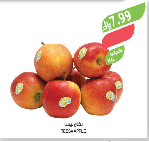 Apple available at المزرعة in مملكة العربية السعودية, السعودية, سعودية - ينبع