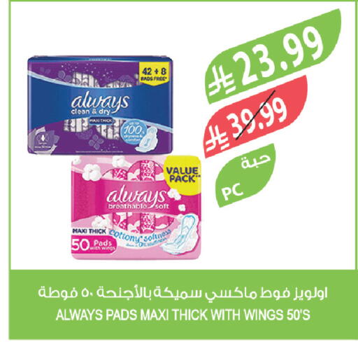 available at Farm  in KSA, Saudi Arabia, Saudi - Khafji