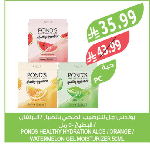 Orange Watermelon available at Farm  in KSA, Saudi Arabia, Saudi - Saihat