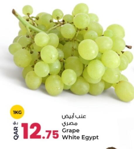 available at روابي هايبرماركت in قطر - الشحانية