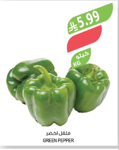 Pepper available at المزرعة in مملكة العربية السعودية, السعودية, سعودية - سكاكا