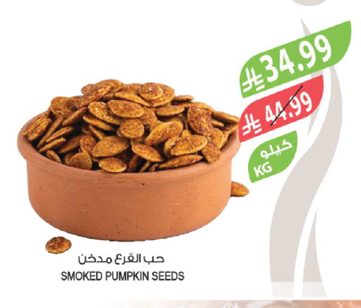Pumpkin available at المزرعة in مملكة العربية السعودية, السعودية, سعودية - نجران