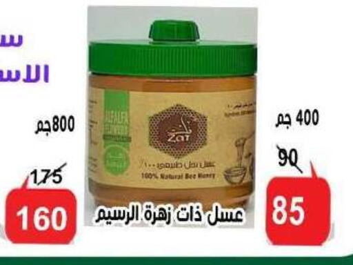 Alfalfa available at الدنيا بخير in Egypt - القاهرة