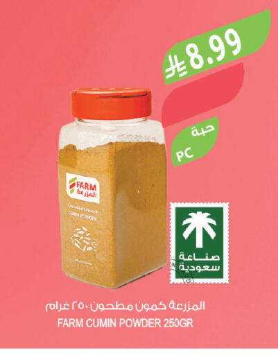 Cumin available at Farm  in KSA, Saudi Arabia, Saudi - Khafji