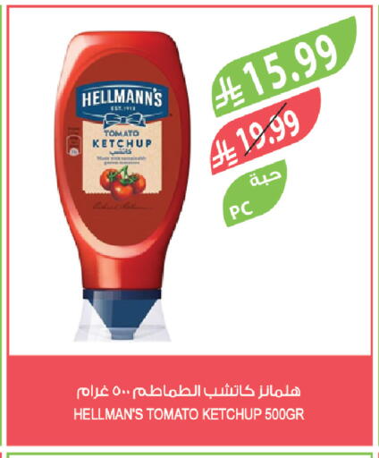Tomato available at Farm  in KSA, Saudi Arabia, Saudi - Khafji