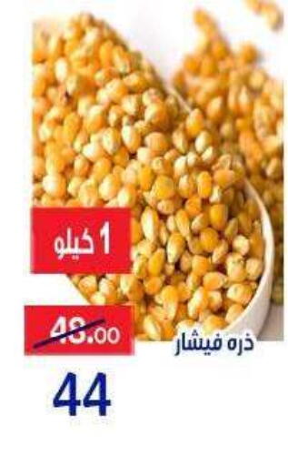 available at الدنيا بخير in Egypt - القاهرة