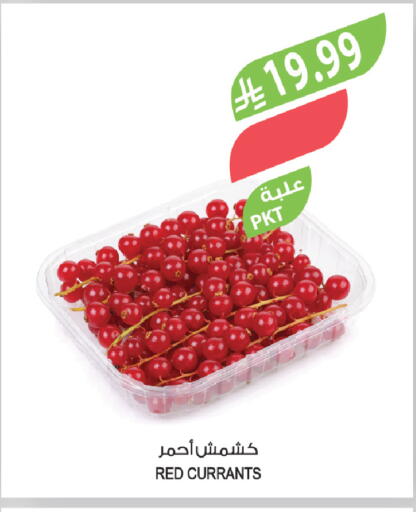 available at المزرعة in مملكة العربية السعودية, السعودية, سعودية - الخفجي