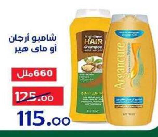 available at الدنيا بخير in Egypt - القاهرة