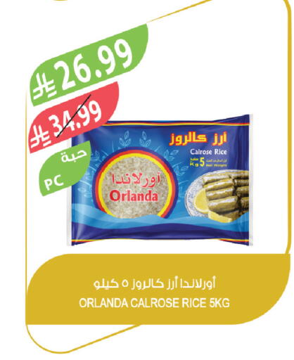 available at Farm  in KSA, Saudi Arabia, Saudi - Khafji