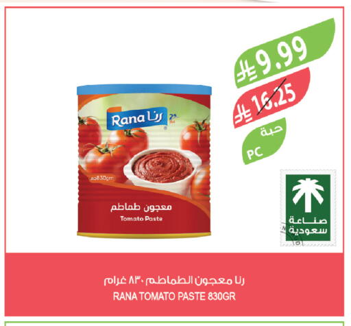 Tomato available at Farm  in KSA, Saudi Arabia, Saudi - Khafji
