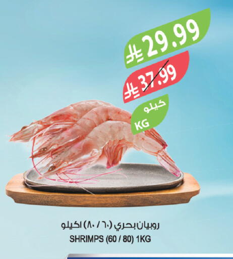 available at Farm  in KSA, Saudi Arabia, Saudi - Sakaka