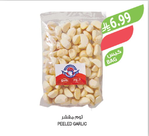Garlic available at المزرعة in مملكة العربية السعودية, السعودية, سعودية - ينبع