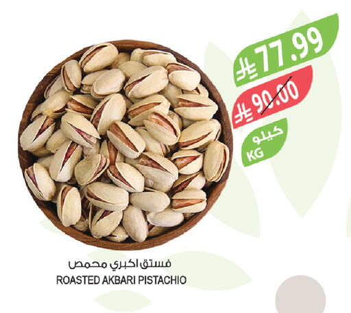 available at Farm  in KSA, Saudi Arabia, Saudi - Khafji