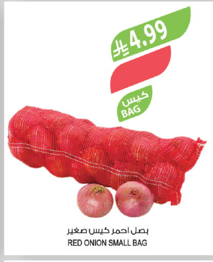 Onion available at المزرعة in مملكة العربية السعودية, السعودية, سعودية - سكاكا