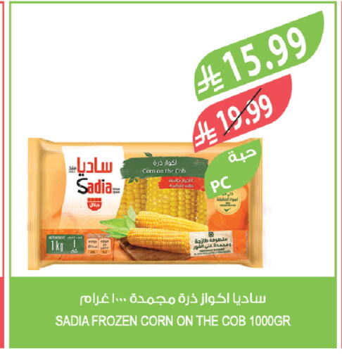 available at المزرعة in مملكة العربية السعودية, السعودية, سعودية - سيهات