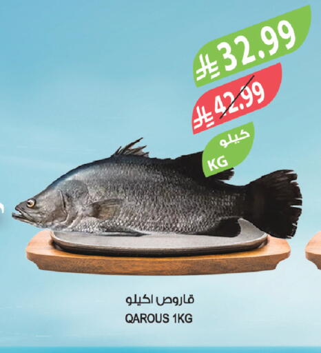 available at Farm  in KSA, Saudi Arabia, Saudi - Sakaka