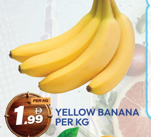available at دريم لاند in الإمارات العربية المتحدة , الامارات - دبي