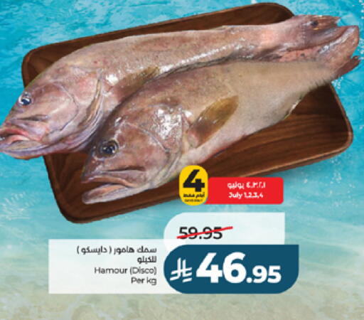 available at لولو هايبرماركت in مملكة العربية السعودية, السعودية, سعودية - جدة