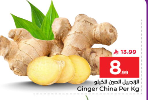 Ginger from China available at نستو in مملكة العربية السعودية, السعودية, سعودية - الرياض