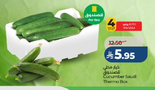 Cucumber from Saudi Arabia available at لولو هايبرماركت in مملكة العربية السعودية, السعودية, سعودية - ينبع