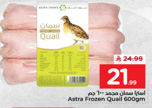 available at نستو in مملكة العربية السعودية, السعودية, سعودية - المنطقة الشرقية