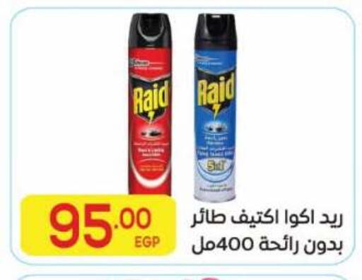 available at El Mahallawy Market  in Egypt - Cairo