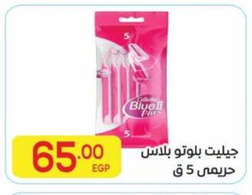 available at El Mahallawy Market  in Egypt - Cairo