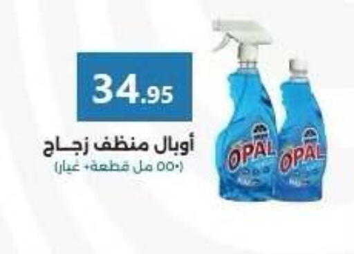 available at El Mahallawy Market  in Egypt - Cairo