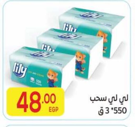 available at El Mahallawy Market  in Egypt - Cairo