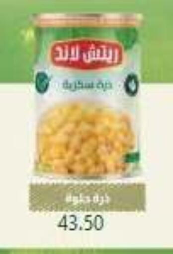 available at El Mahallawy Market  in Egypt - Cairo