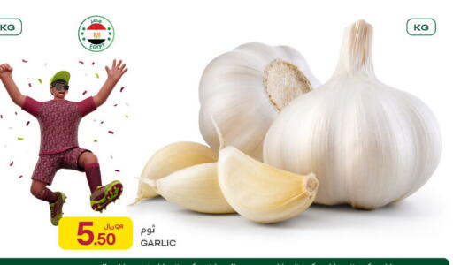 Garlic available at Al Meera in Qatar - Al Shamal