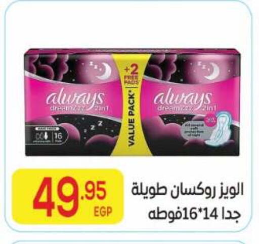 available at El Mahallawy Market  in Egypt - Cairo