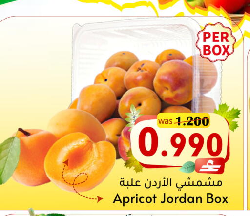 Apricot from Jordan available at مركز المزن للتسوق in عُمان - مسقط‎