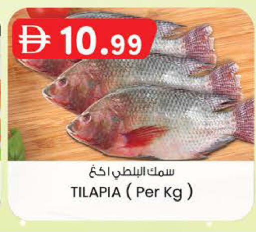 available at K M Trading  in UAE - Fujairah