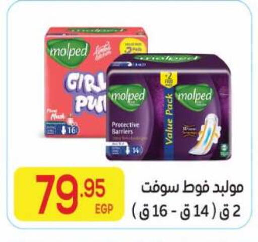 available at المحلاوي ماركت in Egypt - القاهرة