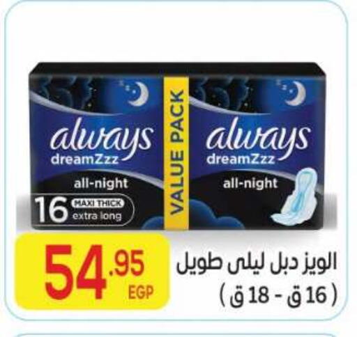 available at El Mahallawy Market  in Egypt - Cairo