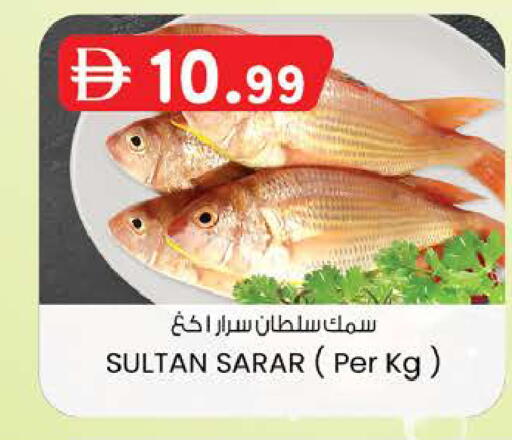 available at K M Trading  in UAE - Fujairah