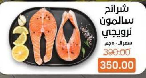 available at بيت الجملة in Egypt - القاهرة