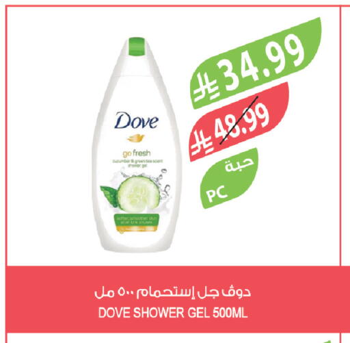 available at Farm  in KSA, Saudi Arabia, Saudi - Tabuk