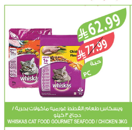 available at Farm  in KSA, Saudi Arabia, Saudi - Al-Kharj