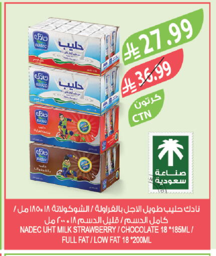 Strawberry available at Farm  in KSA, Saudi Arabia, Saudi - Tabuk