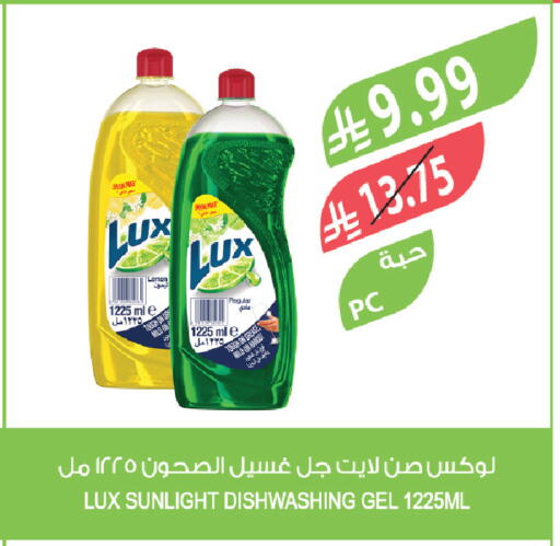 available at Farm  in KSA, Saudi Arabia, Saudi - Al-Kharj