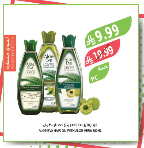 available at Farm  in KSA, Saudi Arabia, Saudi - Al-Kharj