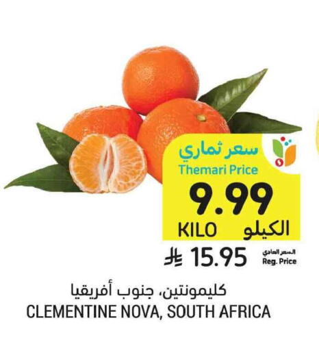 from South Africa available at Tamimi Market in KSA, Saudi Arabia, Saudi - Tabuk