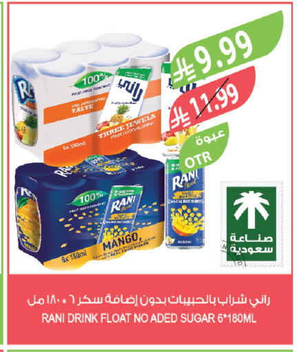 Mango available at Farm  in KSA, Saudi Arabia, Saudi - Tabuk