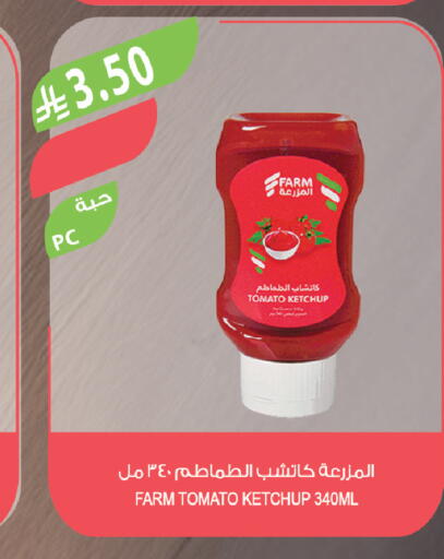 Tomato available at Farm  in KSA, Saudi Arabia, Saudi - Al-Kharj
