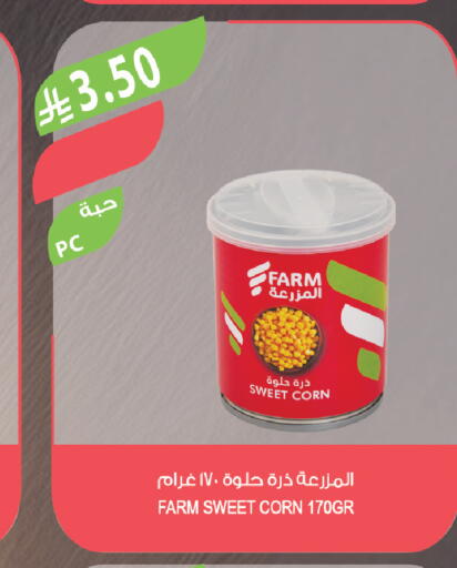 available at Farm  in KSA, Saudi Arabia, Saudi - Tabuk