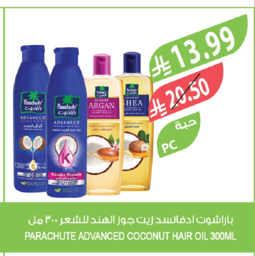 Coconut available at Farm  in KSA, Saudi Arabia, Saudi - Al-Kharj