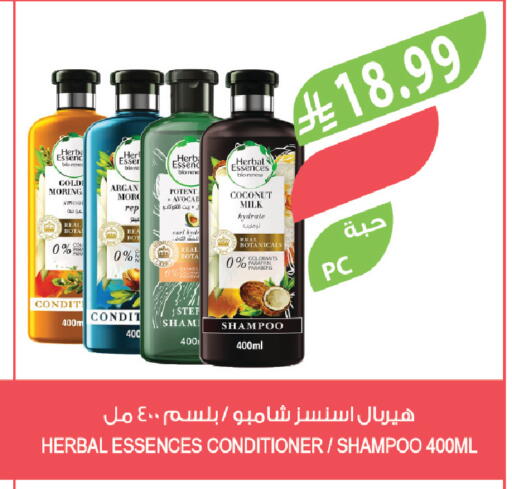 Coconut available at Farm  in KSA, Saudi Arabia, Saudi - Jeddah
